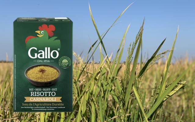 Riso Gallo weiß wie es geht, durch bewusstes Handeln und strenge Richtlinien in der Landwirtschaft eine rundum umweltfreundliche Reis-Produktion sicherzustellen.